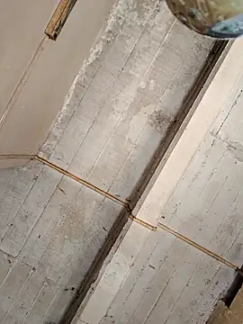 Snapshot of puak6666 chatting on 23, 10, 2025 puak6666 online show from 23, 10, 2025