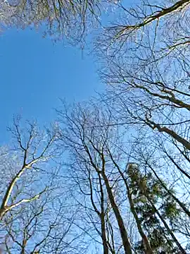 LydiaMaus96 online show from 18, 2, 2025