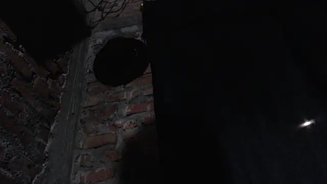 J232001 online show from 1, 3, 2026