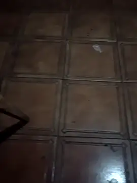 soulreaver199 online show from 12, 2, 2026