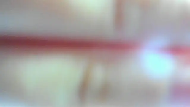 Snapshot of leila_bambi_ chatting on 17, 2, 2026 leila bambi online show from 17, 2, 2026