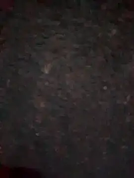 Rozittaa online show from 9, 11, 2025