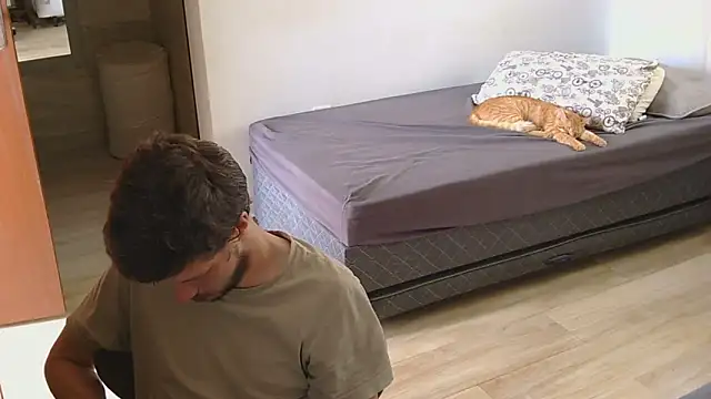 prorafadodoce online show from 21, 2, 2026