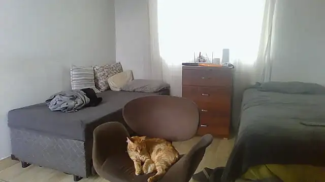 prorafadodoce online show from 2, 2, 2026