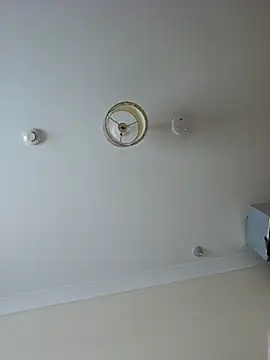 meateater1 online show from 18, 11, 2025