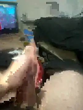 deleware806 online show from 17, 2, 2026