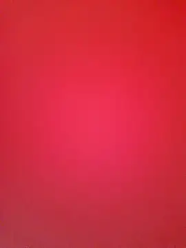 Priya Bong online show from 8, 11, 2025