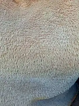 Priya Bong online show from 15, 1, 2026