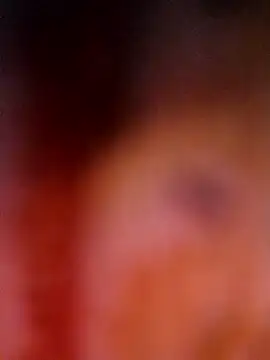 Priya Bong online show from 2, 3, 2026