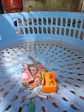 Priya Bong online show from 16, 12, 2025