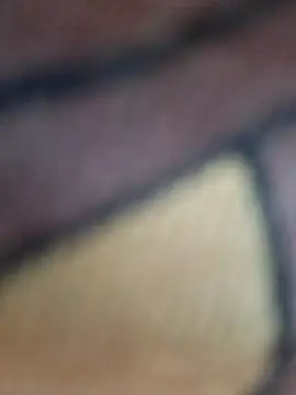 Priya Bong online show from 14, 1, 2026