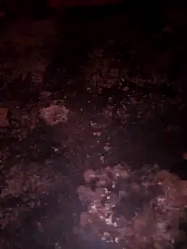 Priya Bong online show from 20, 12, 2025