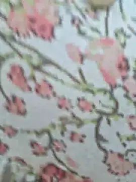 Snapshot of Priya_Bong chatting on 18, 7, 2026 Priya Bong online show from 18, 7, 2026