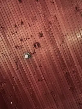 Milena-1 online show from 7, 3, 2025