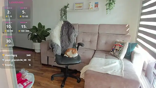 Arya 33 online show from 26, 2, 2025