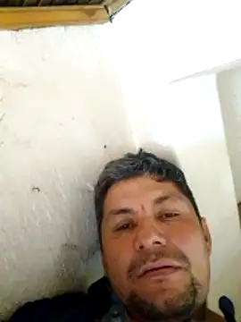 TattyFoxglove online show from 13, 3, 2026