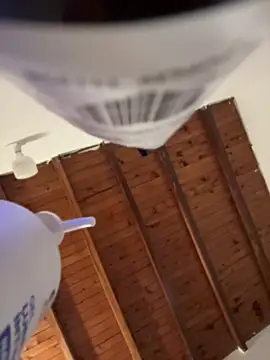 Miss-Abbii online show from 12, 4, 2026