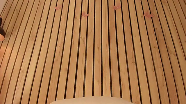 sofiesoft online show from 22, 11, 2025