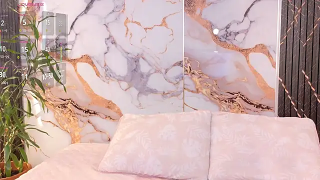 Shasa 8 online show from 9, 1, 2026