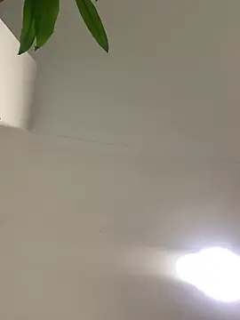 Snapshot of jamilaross chatting on 16, 2, 2025 jamilaross online show from 16, 2, 2025