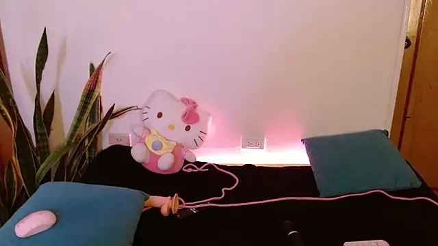 kittycatw online show from 24, 2, 2026