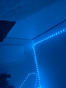 BBW2320 online show from 6, 11, 2025