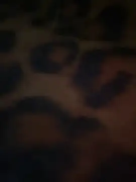 DarianaGuzz online show from 4, 5, 2026
