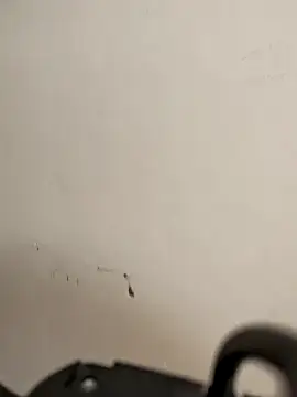 Snapshot of AvaLloyd chatting on 20, 2, 2026 AvaLloyd online show from 20, 2, 2026