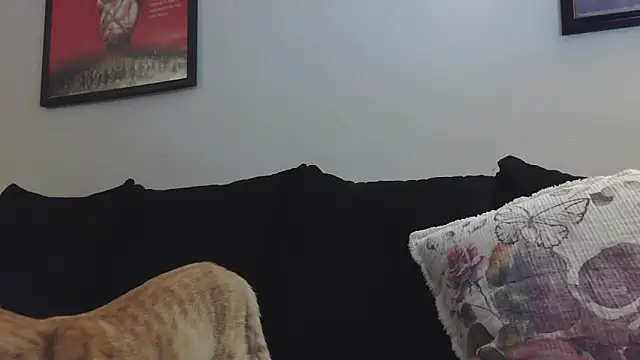 CrystalLakeXO online show from 12, 9, 2025