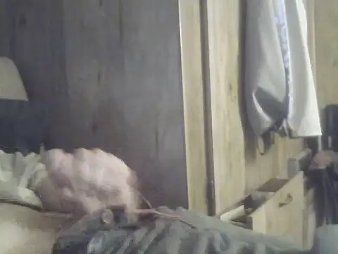 Irishman9077 online show from 25, 9, 2025