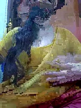 Snapshot of Anjel_Sadia chatting on 27, 2, 2026 Anjel Sadia online show from 27, 2, 2026