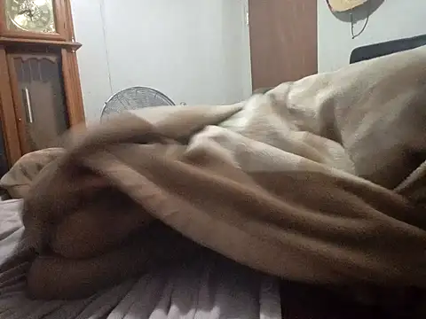 Xoc8  online show from 14, 2, 2026