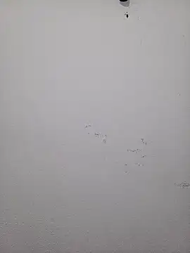 Snapshot of HombreS3n chatting on 19, 2, 2025 HombreS3n online show from 19, 2, 2025