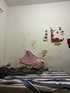 PAUBRASILEIRORJ online show from 23, 12, 2024