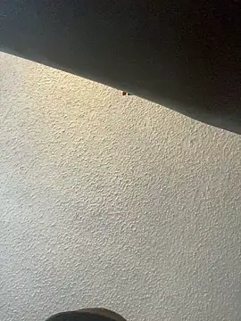 Miguel16i online show from 26, 2, 2025