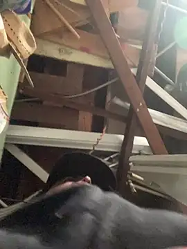 Miguel16i online show from 17, 3, 2025