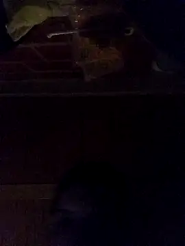 Elvergon3456 online show from 28, 10, 2025