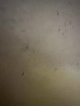 Snapshot of Gladiator_3 chatting on 14, 2, 2026 Gladiator 3 online show from 14, 2, 2026