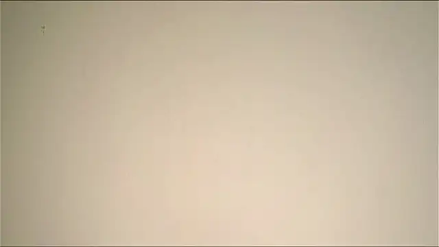 Elation Evy online show from 19, 3, 2026