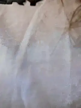 Dani javi online show from 10, 4, 2026