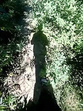 KnG4367 online show from 20, 4, 2026