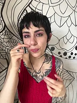  Artemisa X online show from 2, 4, 2026