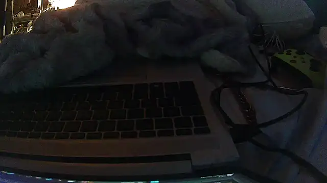 jaxx12369 online show from 10, 2, 2026