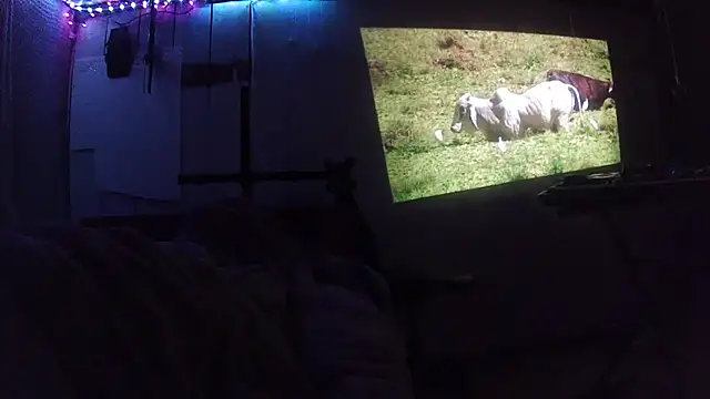 jaxx12369 online show from 28, 2, 2026