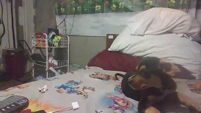 jaxx12369 online show from 28, 3, 2026