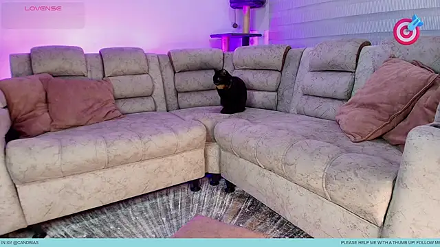 Niico Cruz online show from 14, 9, 2025