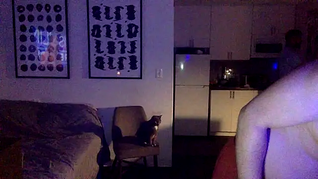 TheOnlyTwinTowers online show from 7, 4, 2026