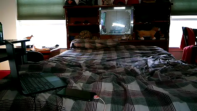 pimpdaddy4ever online show from 26, 10, 2025