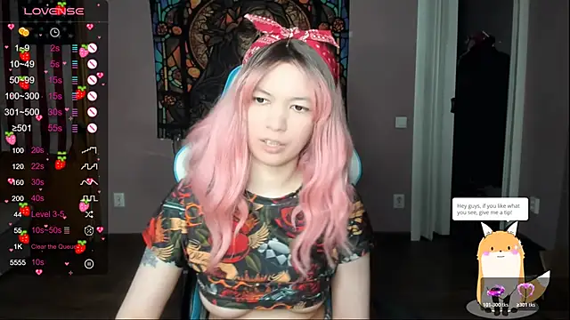 Project hisoka online show from 3, 4, 2026