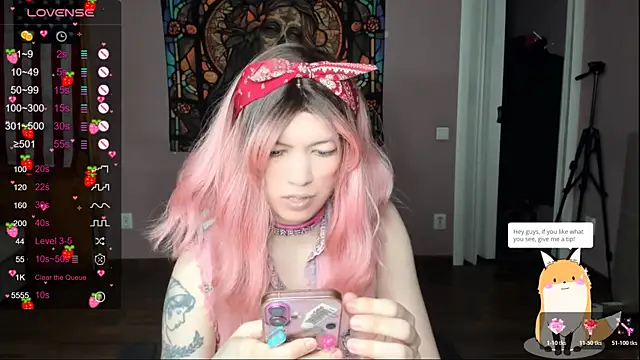 Project hisoka online show from 11, 4, 2026